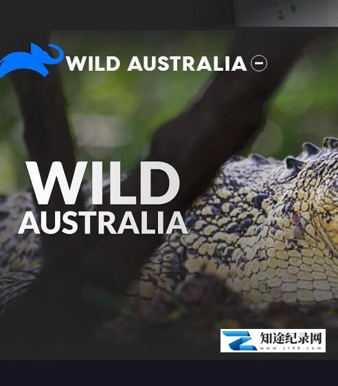 [国家地理]野性澳大利亚 Wild Australi-知途纪录片网盘资源下载