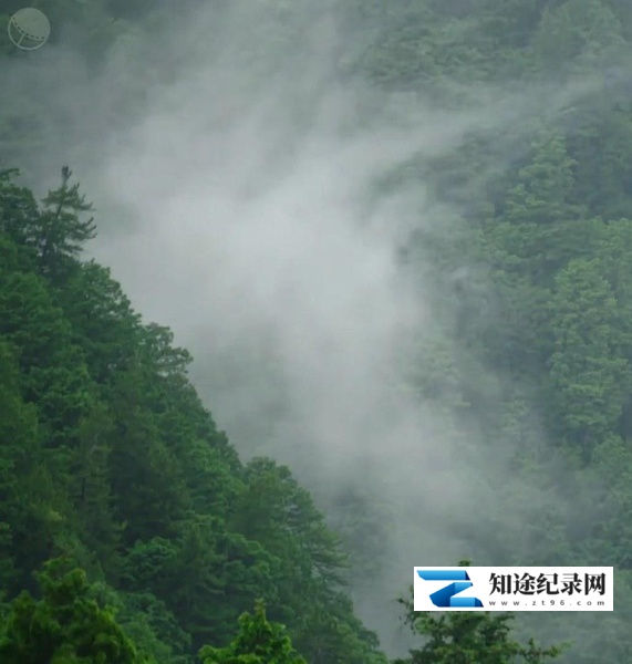 [NHK]日本印象派 水光和鸣 ニッポン印象派 「響き光る水」-知途纪录片网盘资源下载