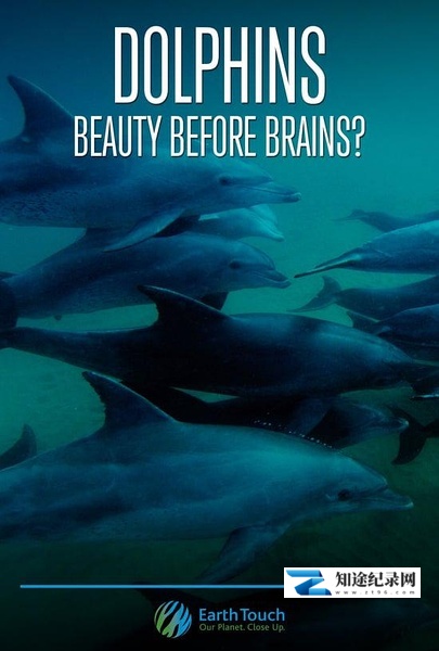 [其他]海豚的美丽与智慧 Dolphins: Beauty Before Brains-知途纪录片网盘资源下载