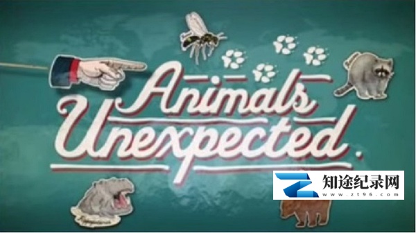 [BBC]不期而至的动物 Animals Unexpected-知途纪录片网盘资源下载