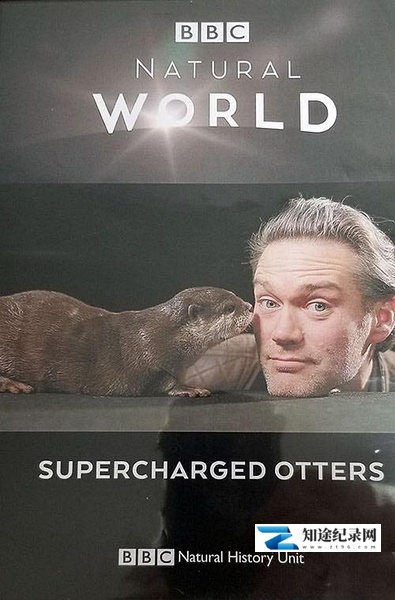 [BBC]超能水獭 Supercharged Otter-知途纪录片网盘资源下载
