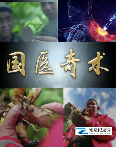 国医奇术 / 国医奇术