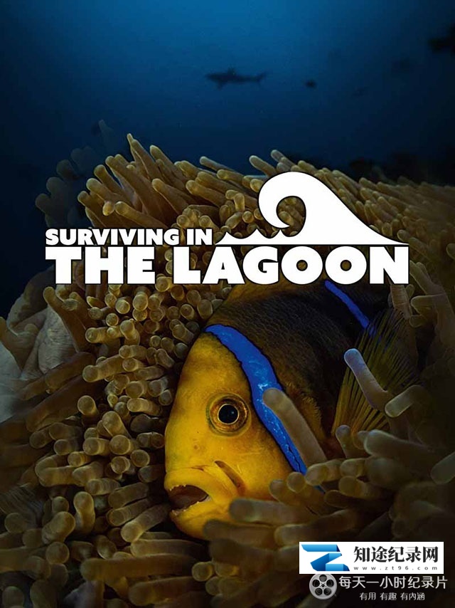 [其他]潟湖生命之旅 Surviving in the Lagoon-知途纪录片网盘资源下载