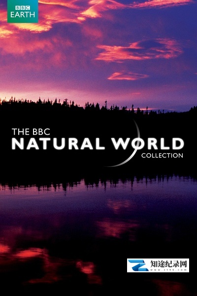 长臂猿电台 / Radio Gibbon