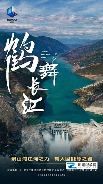 [CCTV]鹤舞长江 鹤舞长江-知途纪录片网盘资源下载