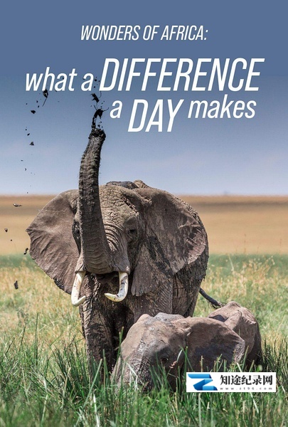 [其他]非洲野生动物们的一天 Wonders of Africa-知途纪录片网盘资源下载