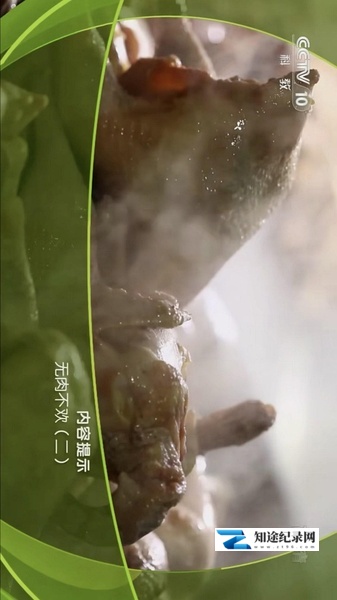 [CCTV]美味假期·无肉不欢 美味假期·无肉不欢-知途纪录片网盘资源下载