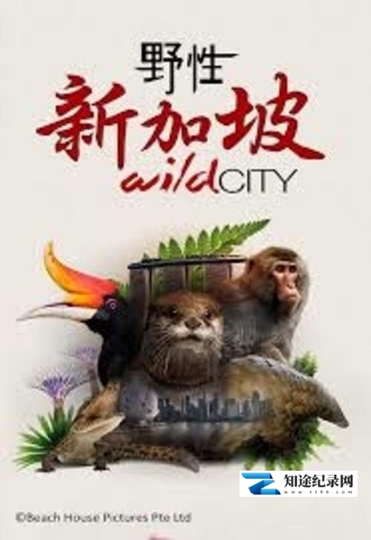 [其他]野性新加坡 Wild City-知途纪录片网盘资源下载