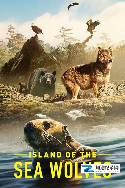 [BBC]海狼之岛 Island of the Sea Wolves-知途纪录片网盘资源下载