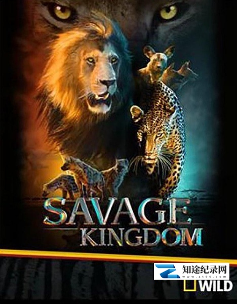 [国家地理]野蛮王国 第一季 Savage Kingdom Season 1-知途纪录片网盘资源下载