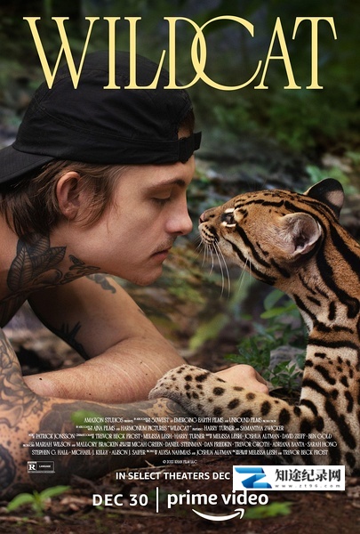[其他]野猫 Wildcat-知途纪录片网盘资源下载