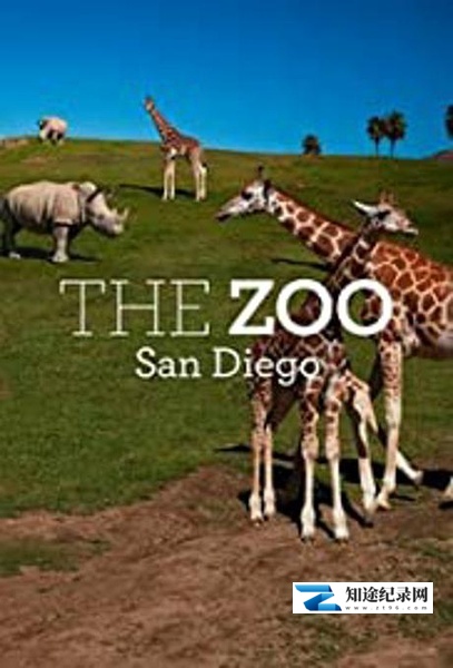 [其他]圣地亚哥动物园 第一季 The Zoo：San Diego-知途纪录片网盘资源下载