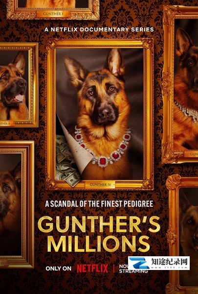 [Netflix]亿万富犬 Gunther's Millions-知途纪录片网盘资源下载