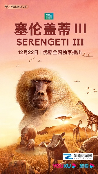 塞伦盖蒂 第三季 / Serengeti Season 3