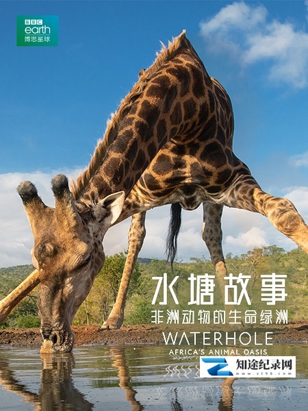 [BBC]水塘故事：非洲动物的生命绿洲 Waterhole Africa's Animal Oasis-知途纪录片网盘资源下载