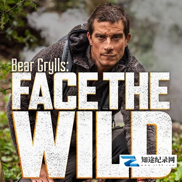 直面荒野 / Bear Grylls: Face the Wild