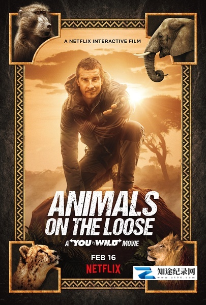 [Discovery]你的荒野求生电影版：出逃的野兽 Animals on the Loose: A You vs. Wild Movie-知途纪录片网盘资源下载