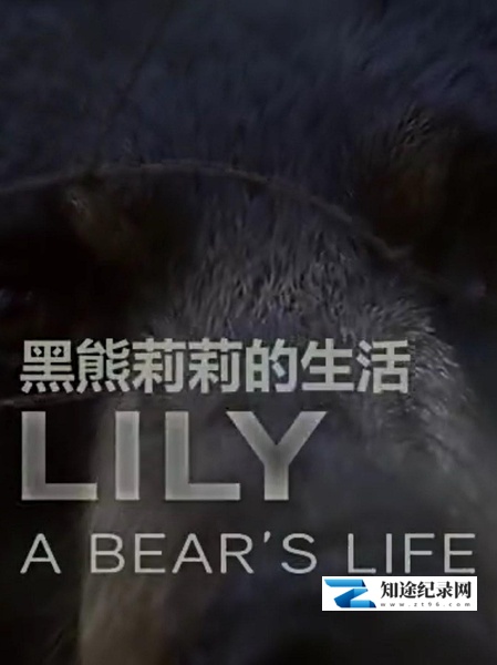 [BBC]莉莉 一头熊的生活 Lily, A Bear's Lif-知途纪录片网盘资源下载