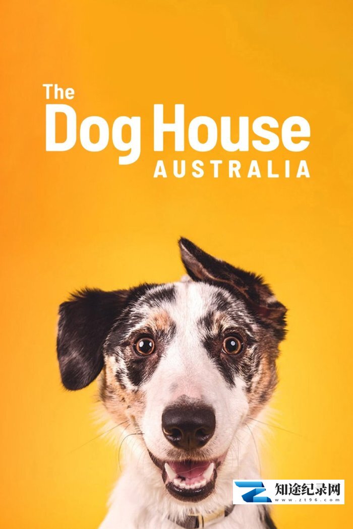 [其他]澳大利亚狗狗屋 1-2季全 The Dog House Australia season 1-2-知途纪录片网盘资源下载
