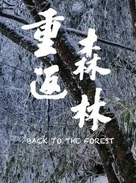 [CCTV]重返森林 Back to the Forest-知途纪录片网盘资源下载