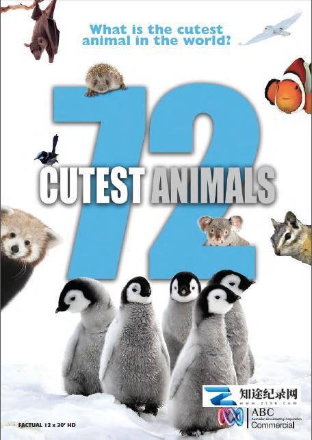 [其他]72大可爱动物 72 Cutest Animals-知途纪录片网盘资源下载