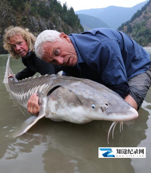 [Discovery]河中巨怪特辑：史前怪物 River Monsters-知途纪录片网盘资源下载