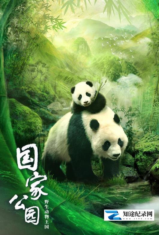 国家公园:野生动物王国