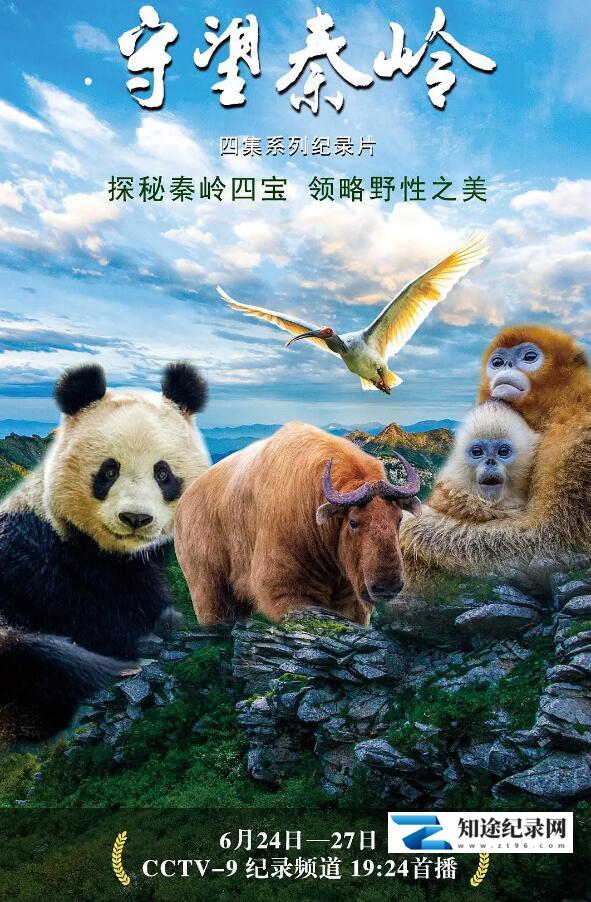 [CCTV]守望秦岭-知途纪录片网盘资源下载