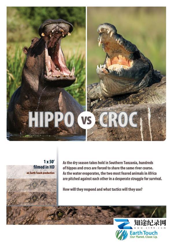 [CCTV]河马与尼罗鳄的领地之争 Hippo vs Croc-知途纪录片网盘资源下载