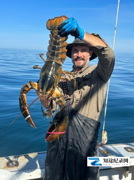 [Discovery]龙虾捕手 Lobstermen-知途纪录片网盘资源下载