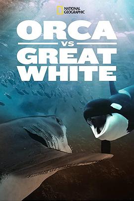 [国家地理]虎鲸对上大白鲨 Orca vs. Great White-知途纪录片网盘资源下载