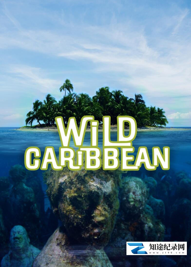 [CCTV]野生加勒比 Wild Caribbean – Rhythms of Life-知途纪录片网盘资源下载