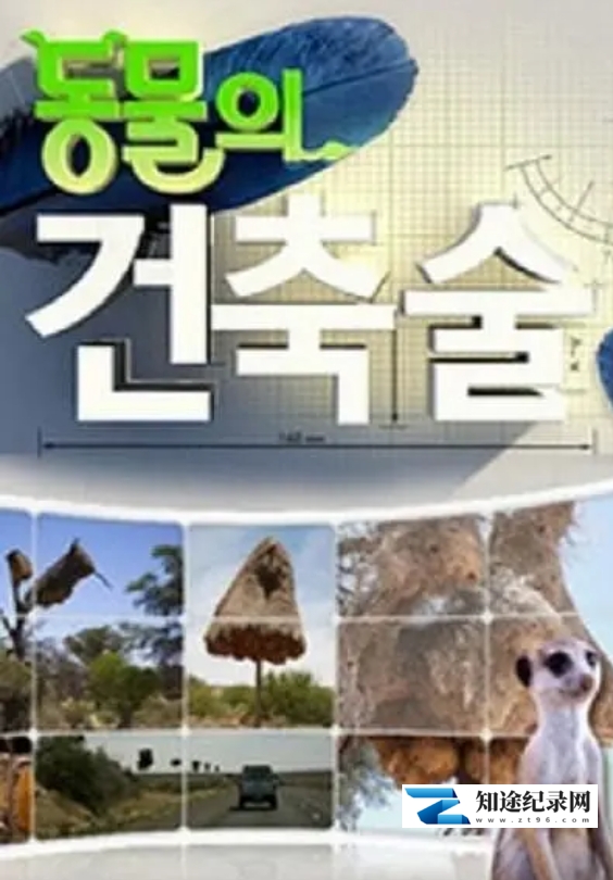 [CCTV]动物建筑师 Animal Builders-知途纪录片网盘资源下载