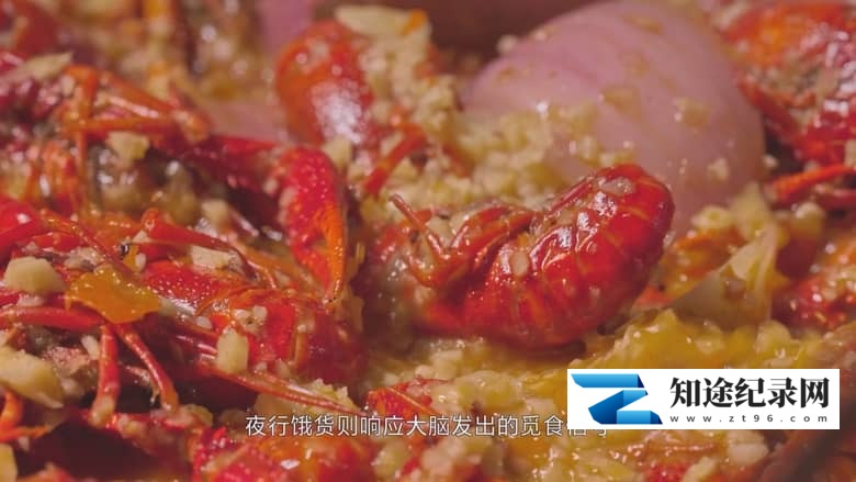 国产纪录片《巷里巷味 2023》全7集 国语中字 4K超清/2160P/MKV/7.13G 小巷是的美食-知途纪录片网盘资源下载