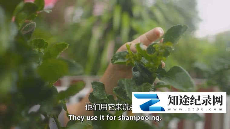 图片[1]-美国纪录片《味道来源 Sourced 2018》全8集 英语中英双字 无水印纯净版 1080P/MKV/10.5G 美食纪录片-知途纪录片网盘资源下载