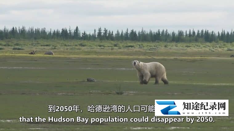 图片[7]-Cineflix纪录片《愤怒的星球 Angry Planet 2007》全10集 英语中英双字 无水印纯净版 1080P/MKV/19.3G 极端气候-知途纪录片网盘资源下载