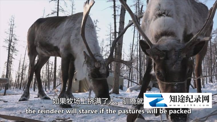 图片[5]-Cineflix纪录片《愤怒的星球 Angry Planet 2007》全10集 英语中英双字 无水印纯净版 1080P/MKV/19.3G 极端气候-知途纪录片网盘资源下载