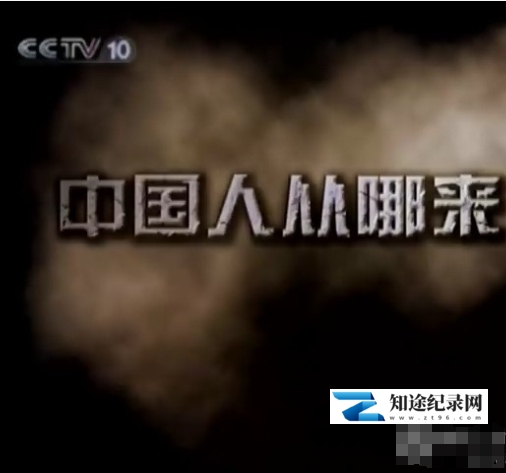 中国人从哪里来 2011