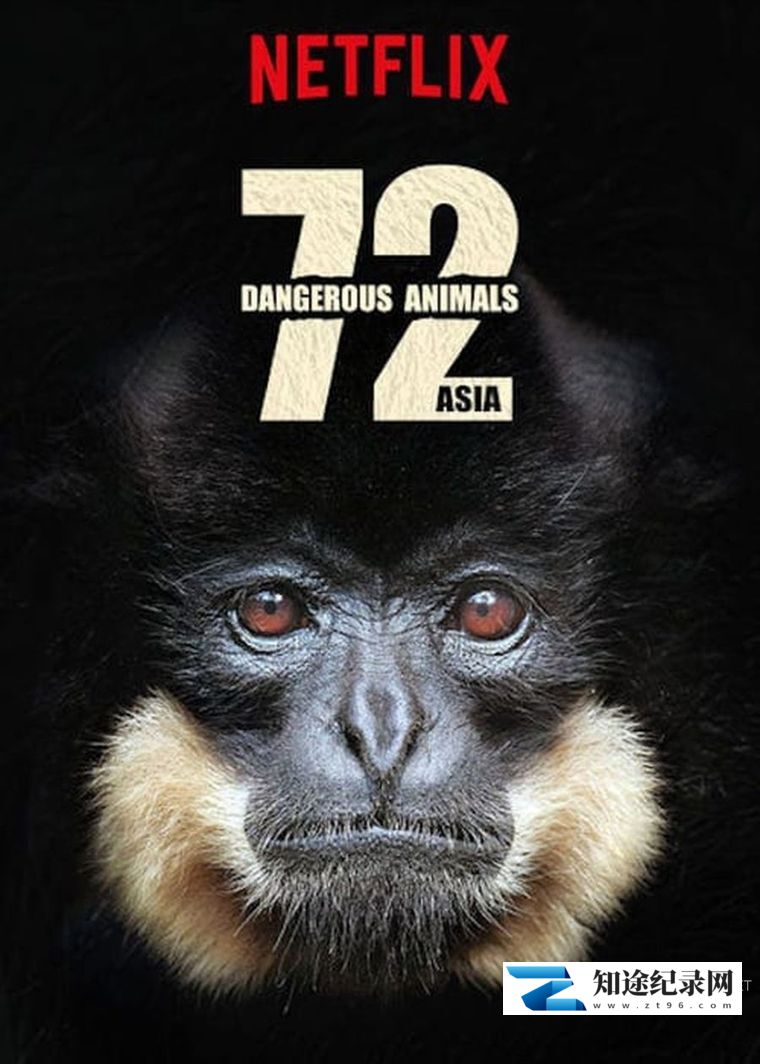 [Netflix]72 大危险动物：亚洲篇 72 Dangerous Animals: Asia-知途纪录片网盘资源下载