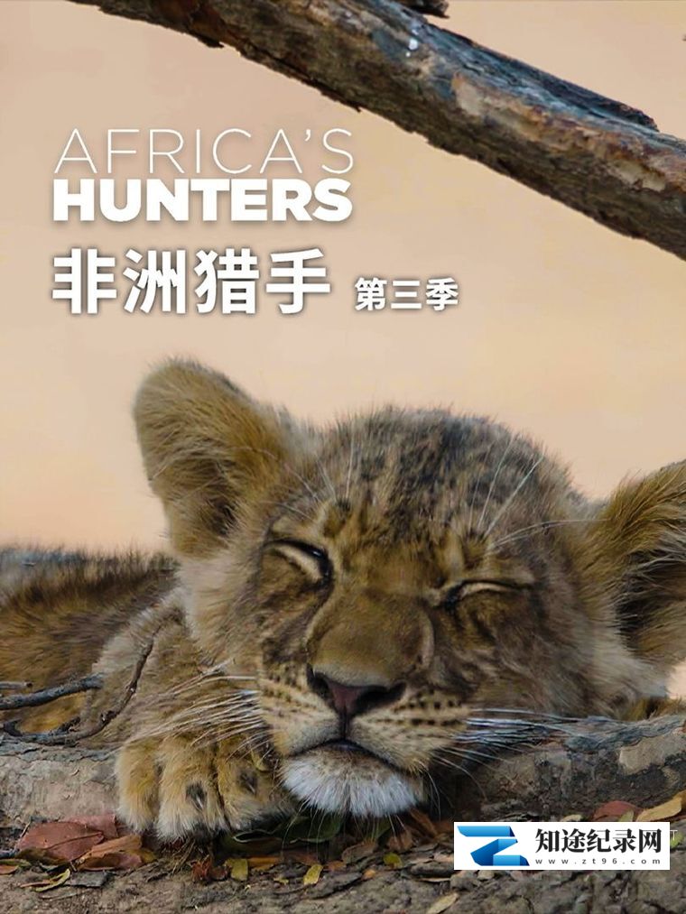 [Smithsonian]非洲猎手 第2-3季全12集   Africa's Hunters-知途纪录片网盘资源下载