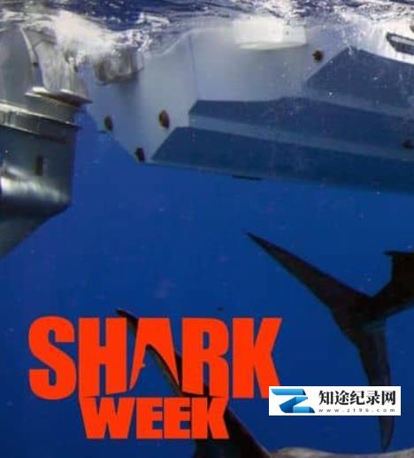 [Discovery]巨型灰鲭鲨黎明 Dawn of the Monster Mako-知途纪录片网盘资源下载