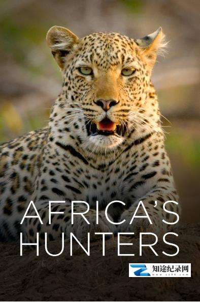 [Smithsonian]非洲猎手 Africa’s Hunters-知途纪录片网盘资源下载