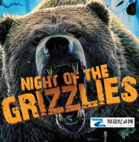 荒野远征:灰熊之夜+巨狼+美国吸血蝙蝠 / America The Wild: Night of The Grizzly 2013