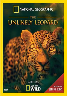 [国家地理]花豹传奇 The Unlikely Leopard-知途纪录片网盘资源下载
