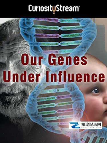 [ARTE]受到影响的人类基因 Our Genes Under Influence-知途纪录片网盘资源下载