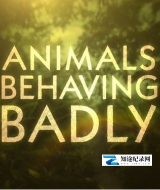 [BBC]动物举止背后的谎言 Animals Behaving Badly-知途纪录片网盘资源下载