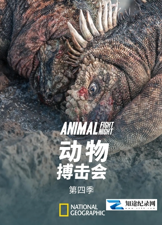 [国家地理]动物搏击会 第2-6季全35集 Animal Fight Night-知途纪录片网盘资源下载