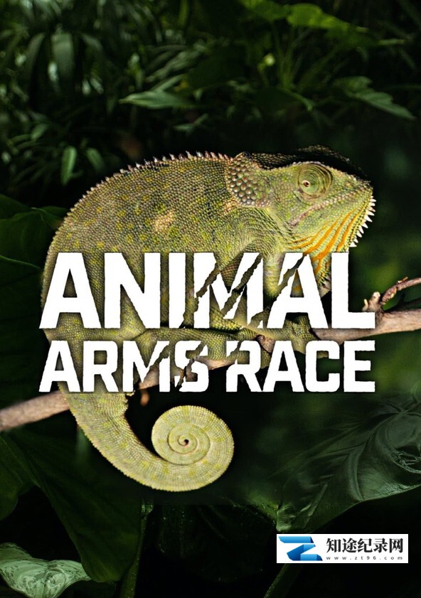 动物军备竞赛 / Animal Arms Race