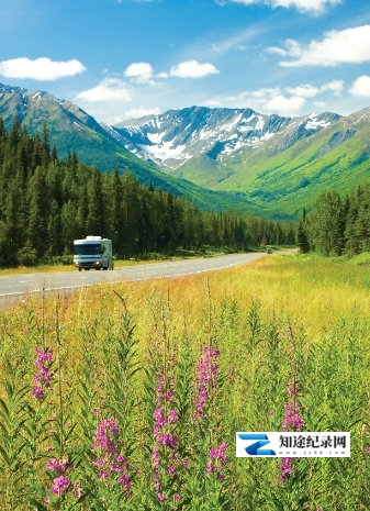 [Smithsonian]阿拉斯加之夏 Alaskan Summer-知途纪录片网盘资源下载