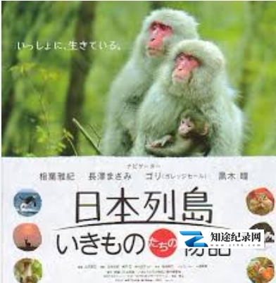 [NHK]日本列岛 美丽生灵物语-知途纪录片网盘资源下载